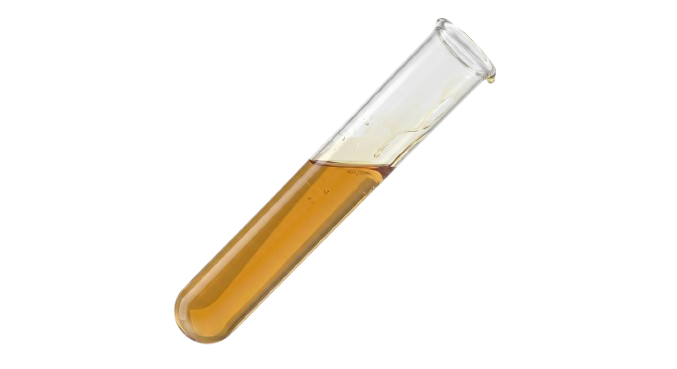 Laboratory Quality Rigor & Analysis